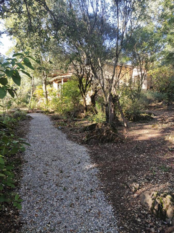 Casa La Indiana Villa Fuenteheridos Eksteriør bilde